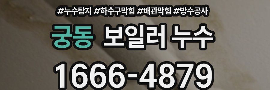 궁동 보일러 누수