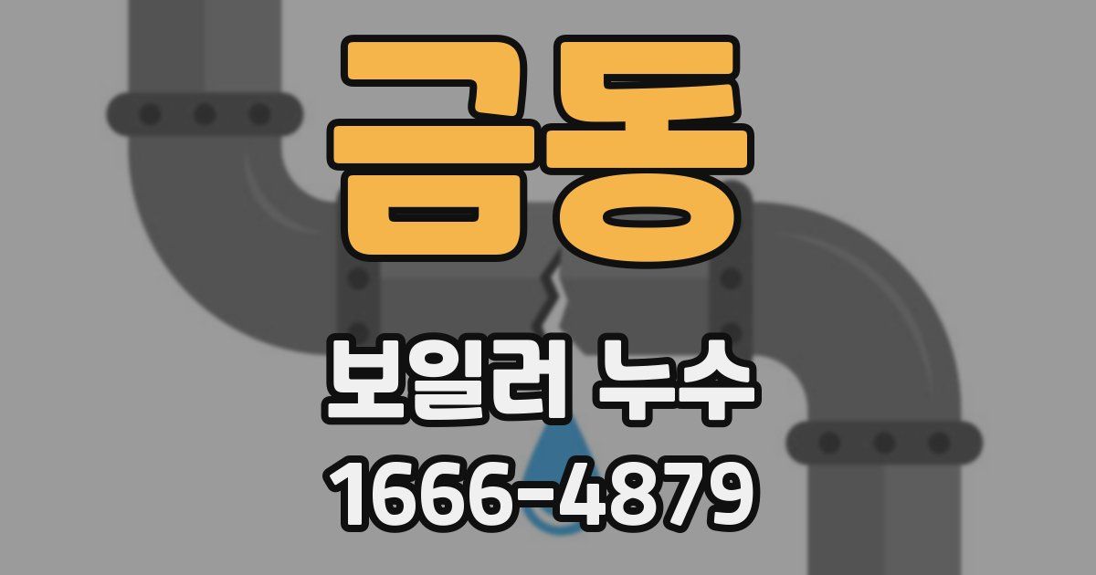금동 보일러 누수