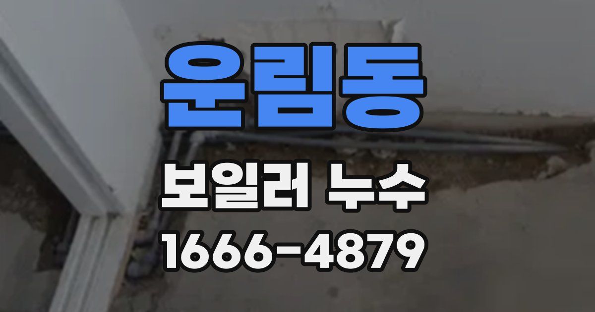 운림동 보일러 누수