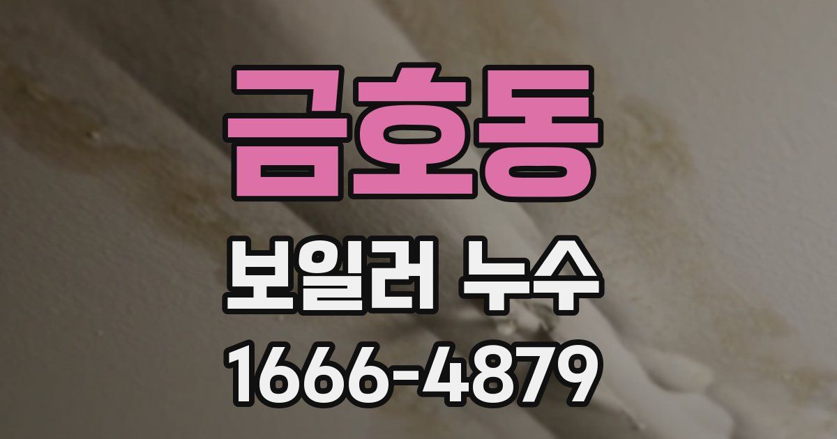 금호동 보일러 누수