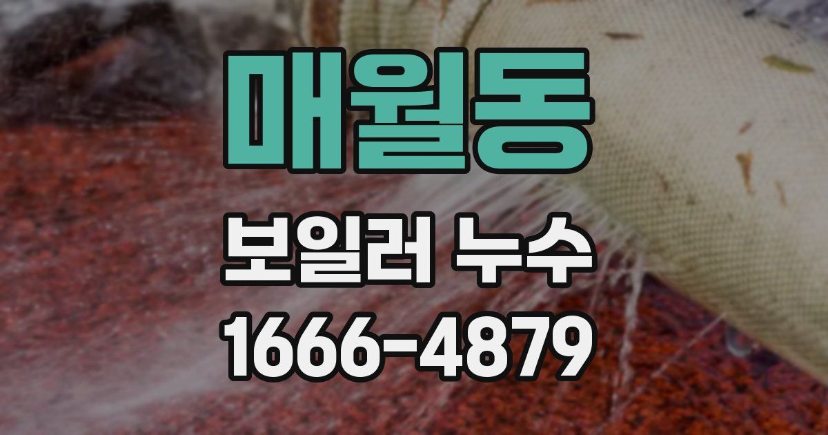 매월동 보일러 누수