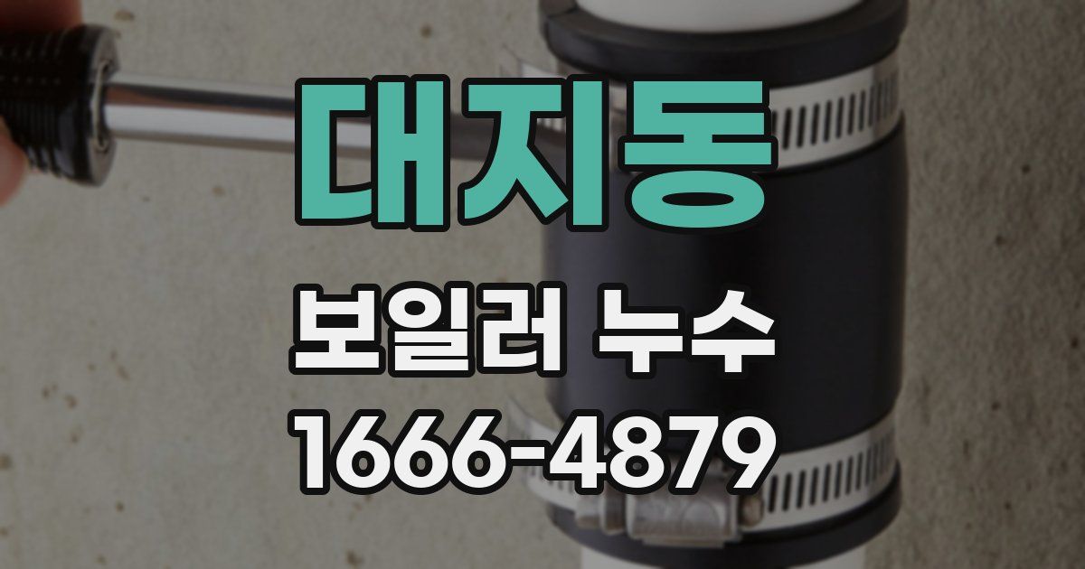 대지동 보일러 누수