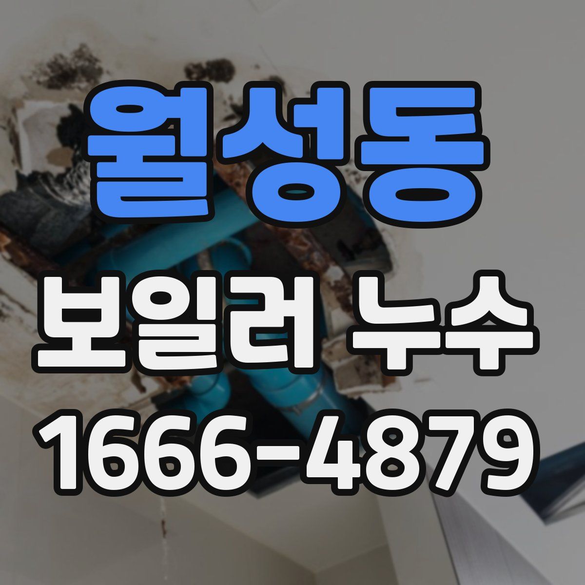 월성동 보일러 누수