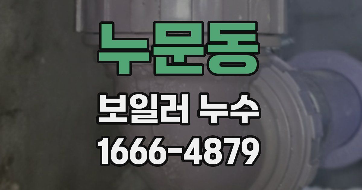 누문동 보일러 누수