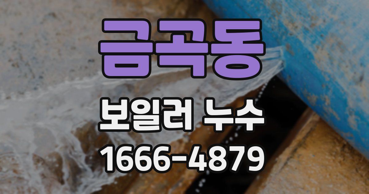 금곡동 보일러 누수