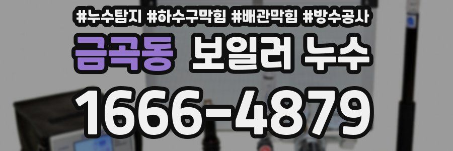 금곡동 보일러 누수