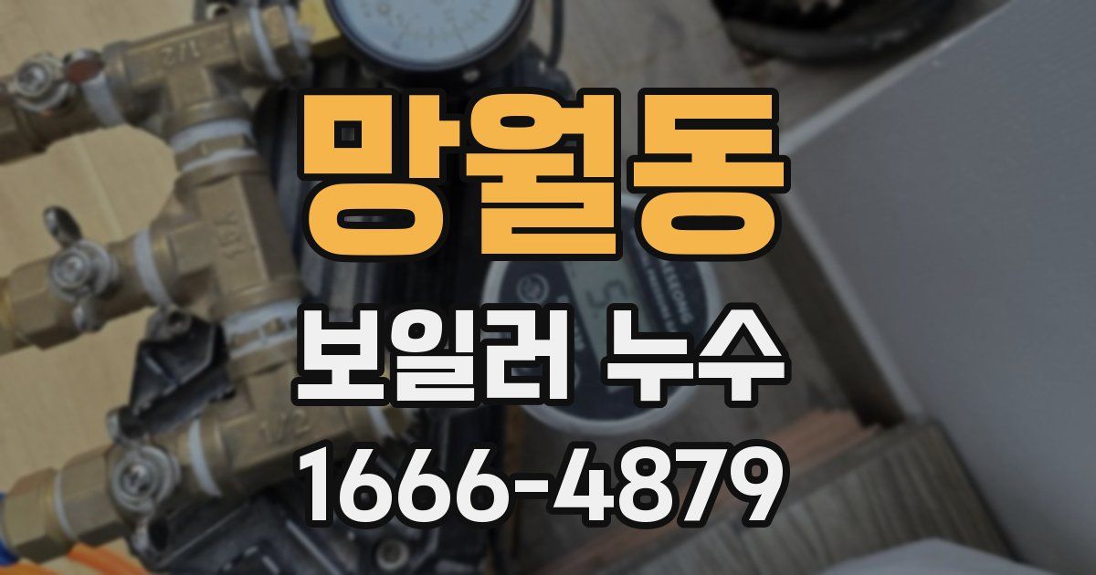 망월동 보일러 누수