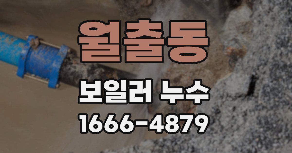 월출동 보일러 누수