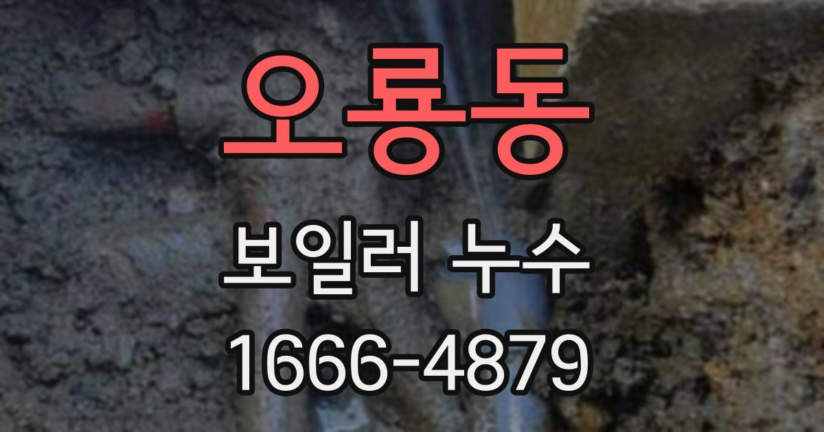 오룡동 보일러 누수