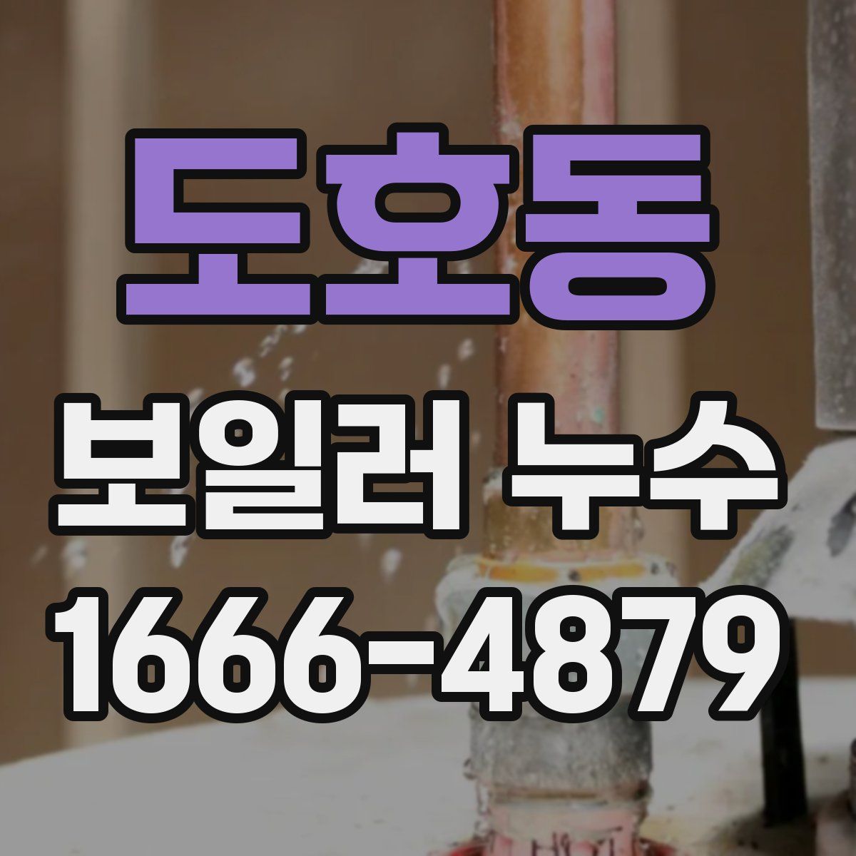 도호동 보일러 누수