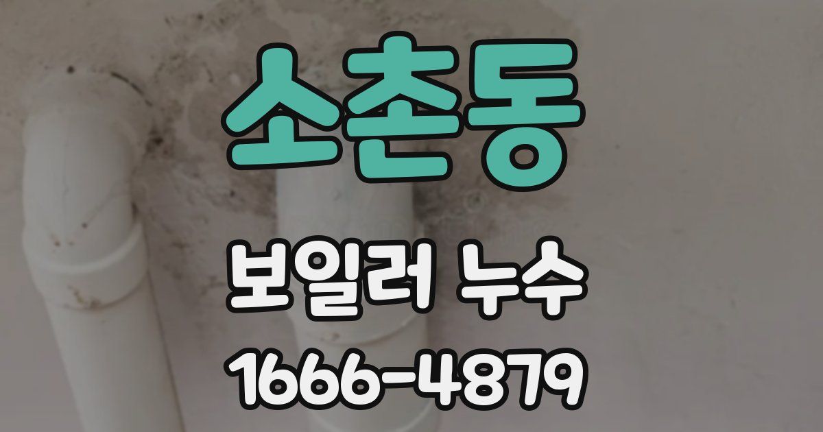 소촌동 보일러 누수