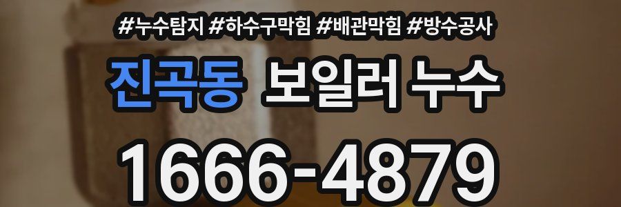 진곡동 보일러 누수