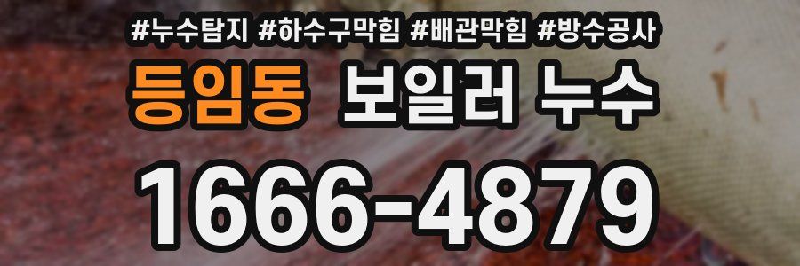 등임동 보일러 누수