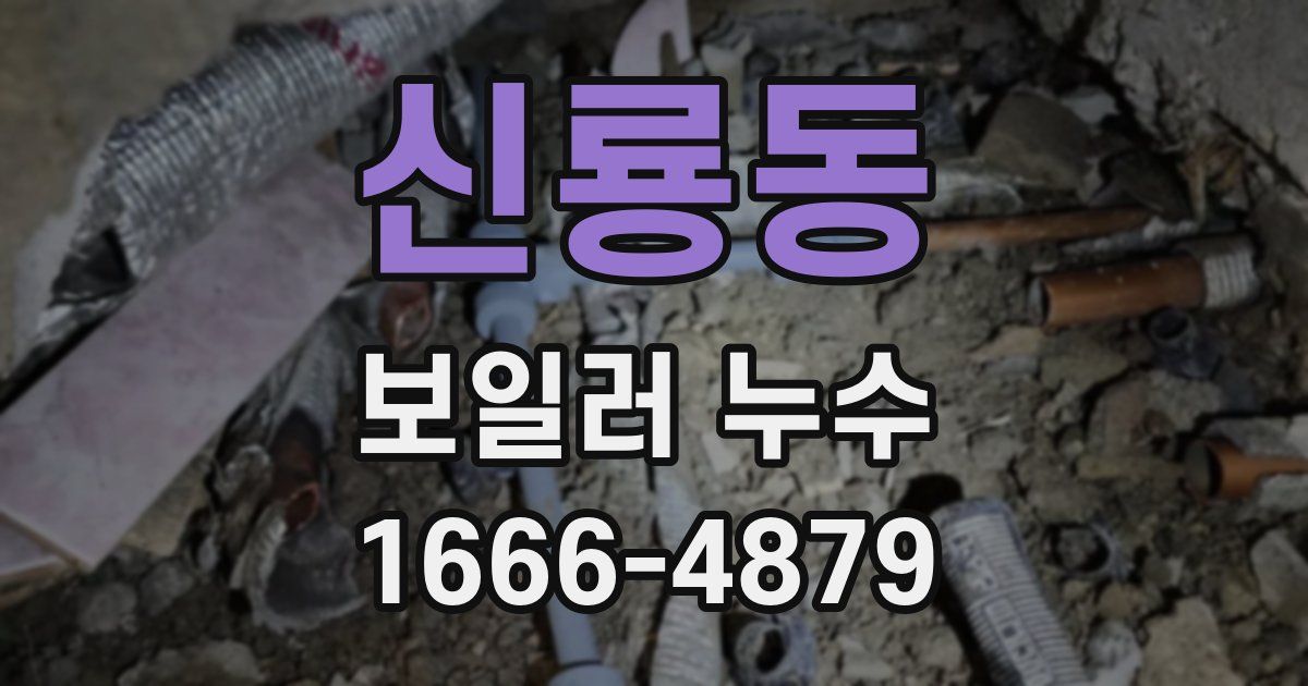 신룡동 보일러 누수