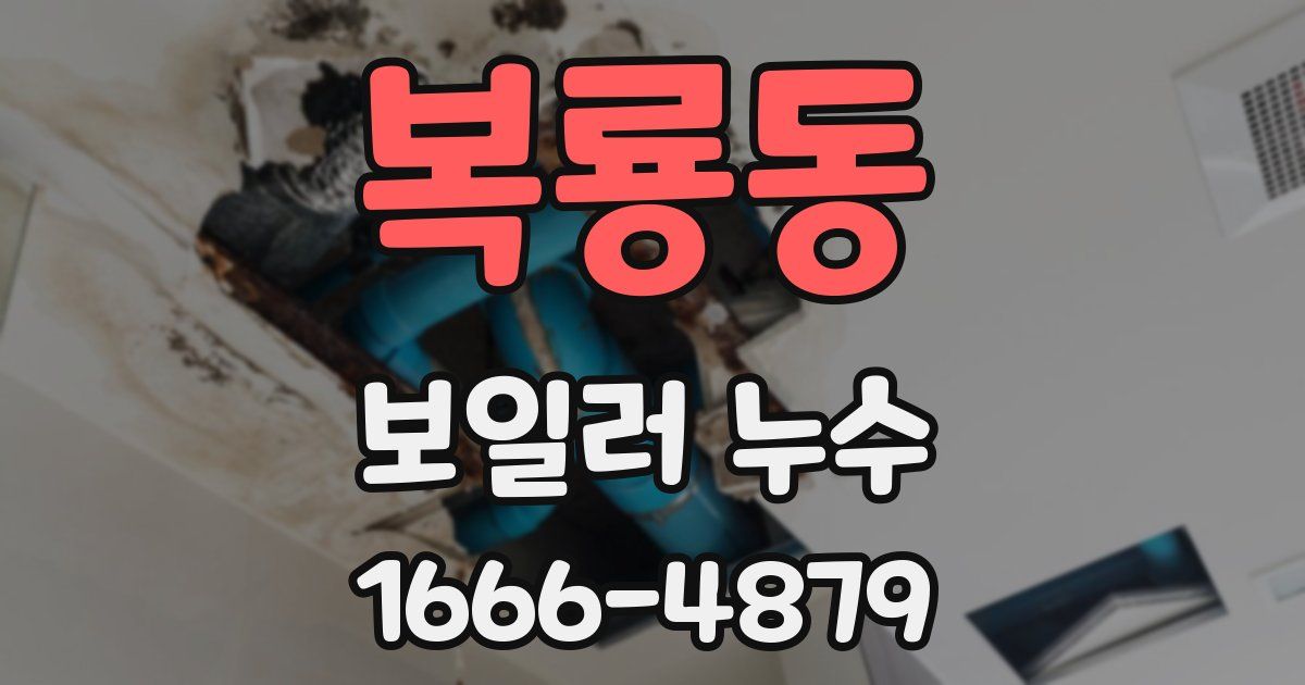 복룡동 보일러 누수