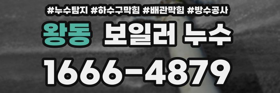 왕동 보일러 누수