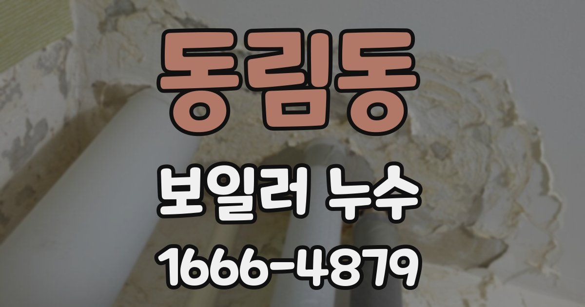 동림동 보일러 누수