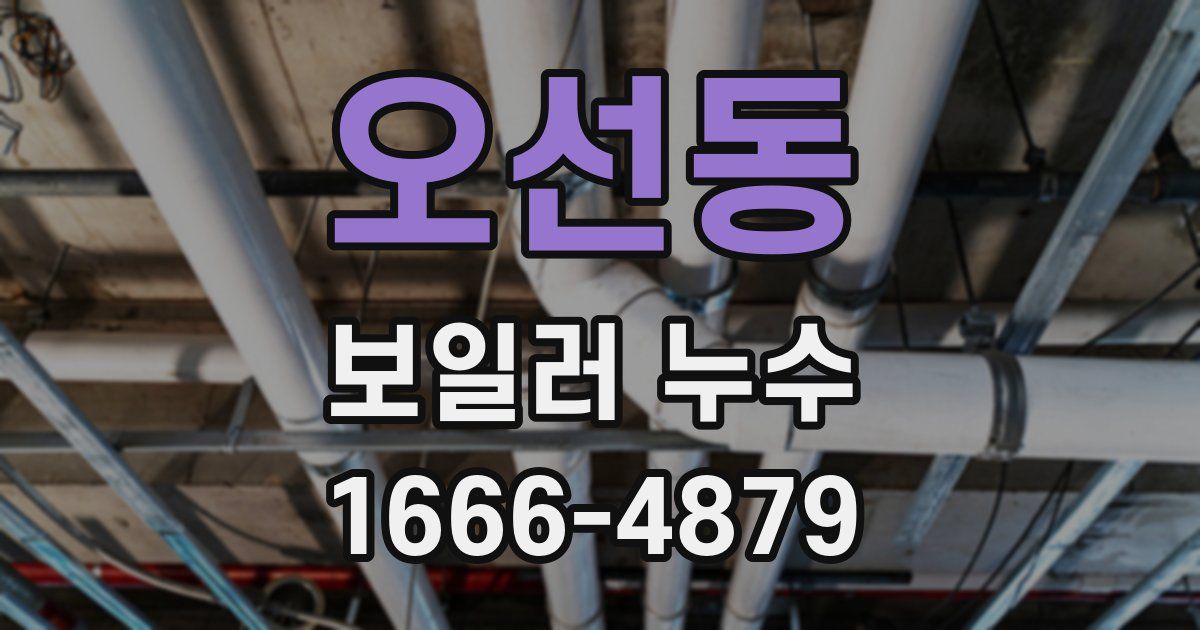 오선동 보일러 누수