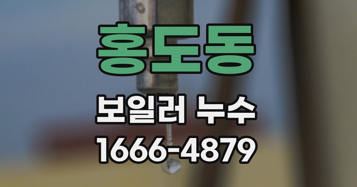 홍도동 보일러 누수