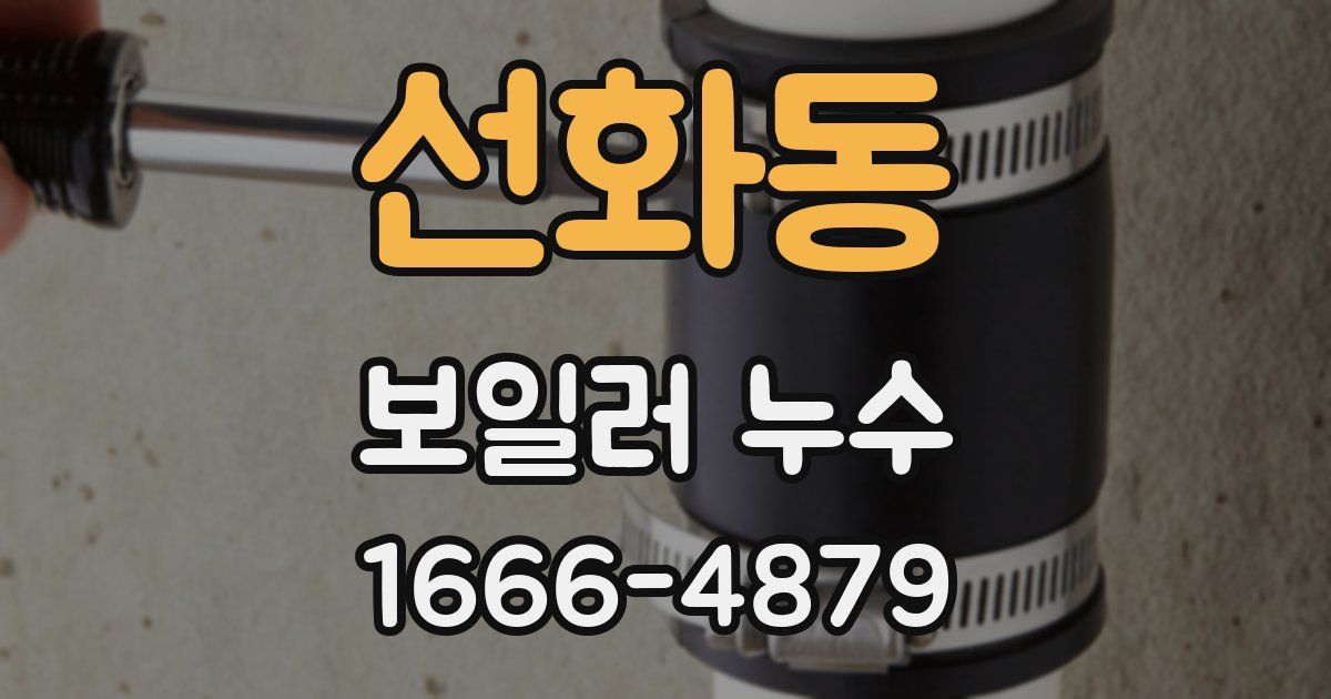선화동 보일러 누수