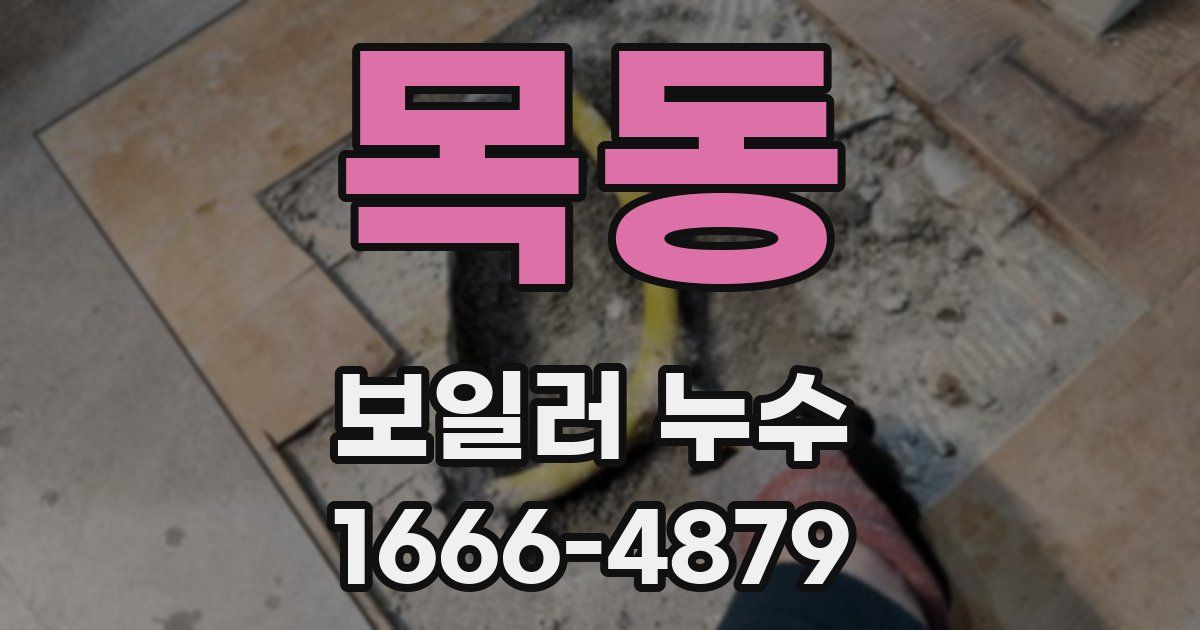 목동 보일러 누수