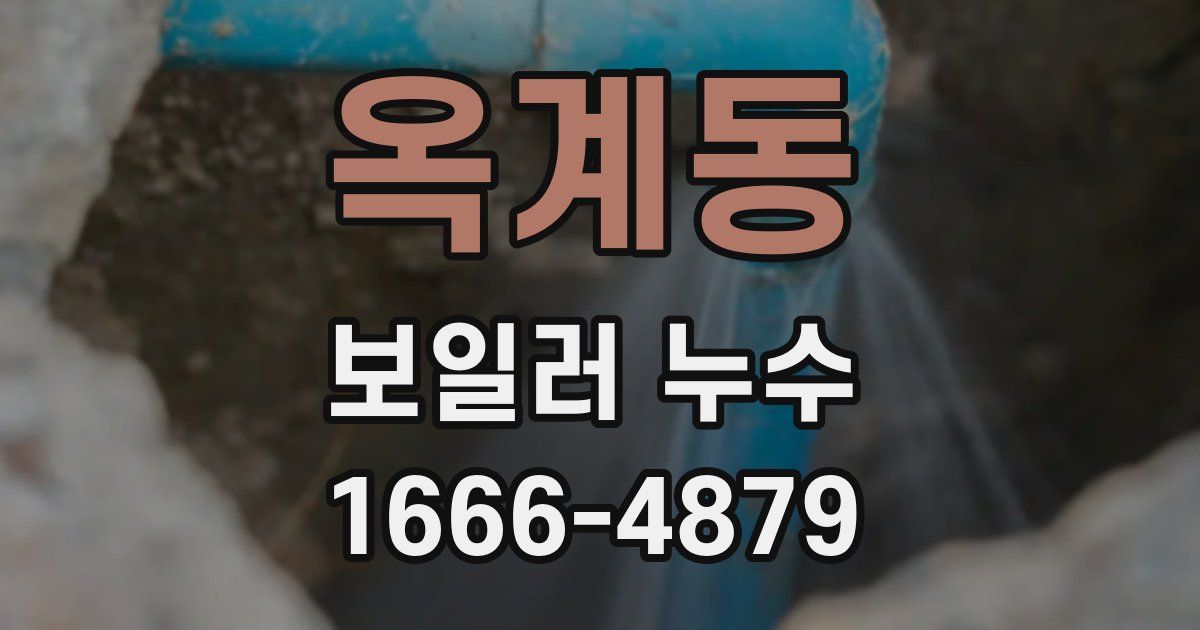 옥계동 보일러 누수