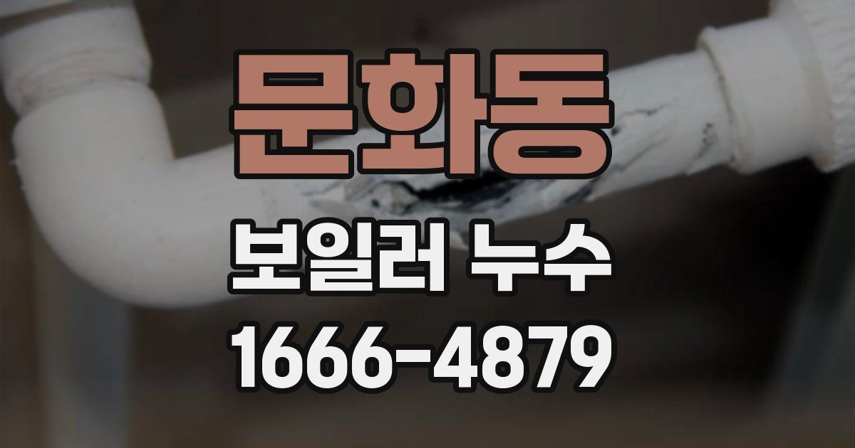 문화동 보일러 누수