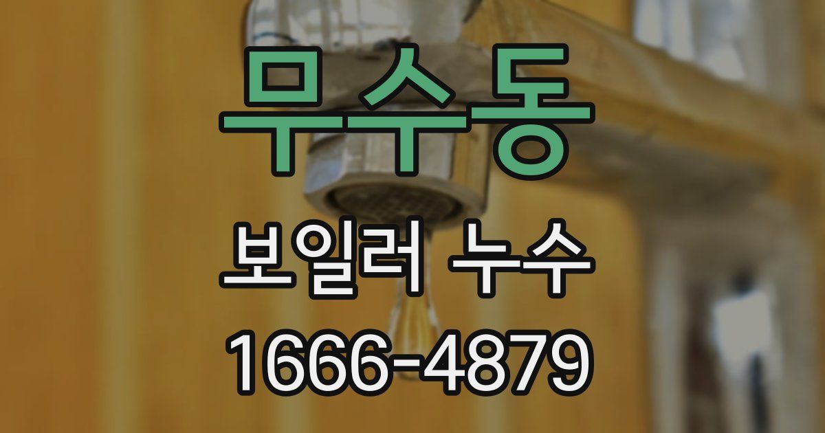 무수동 보일러 누수