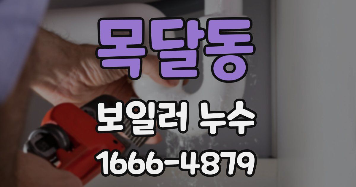 목달동 보일러 누수