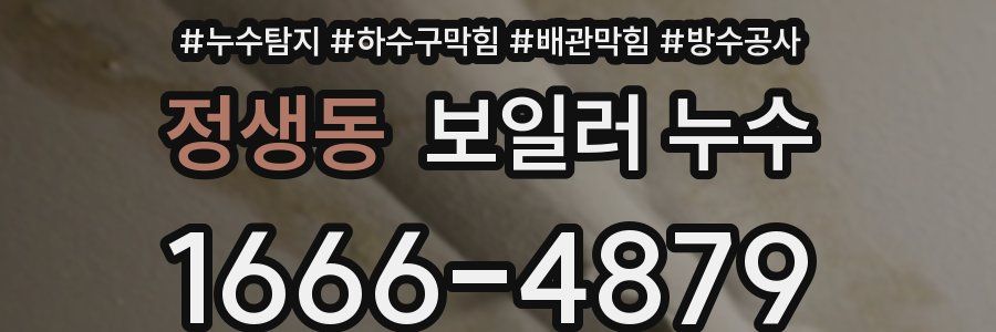 정생동 보일러 누수