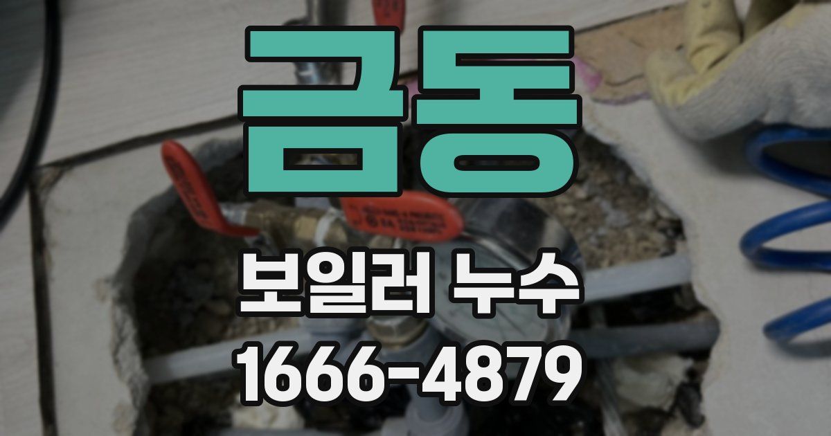 금동 보일러 누수