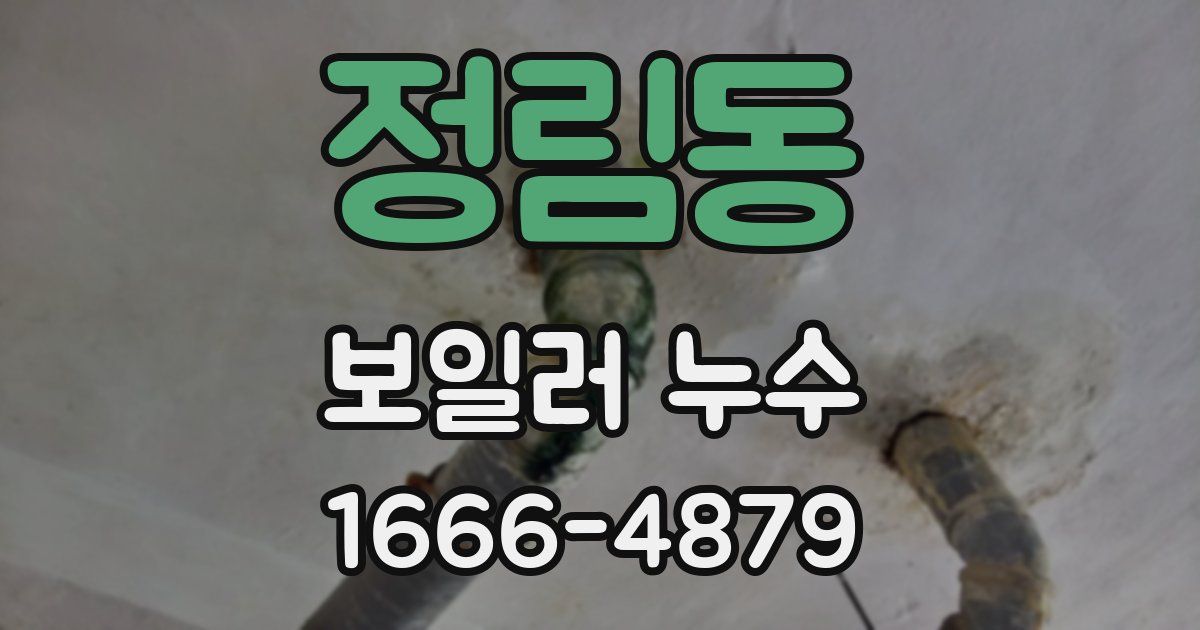 정림동 보일러 누수