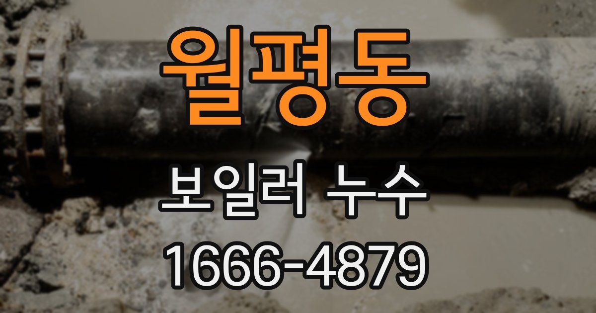 월평동 보일러 누수