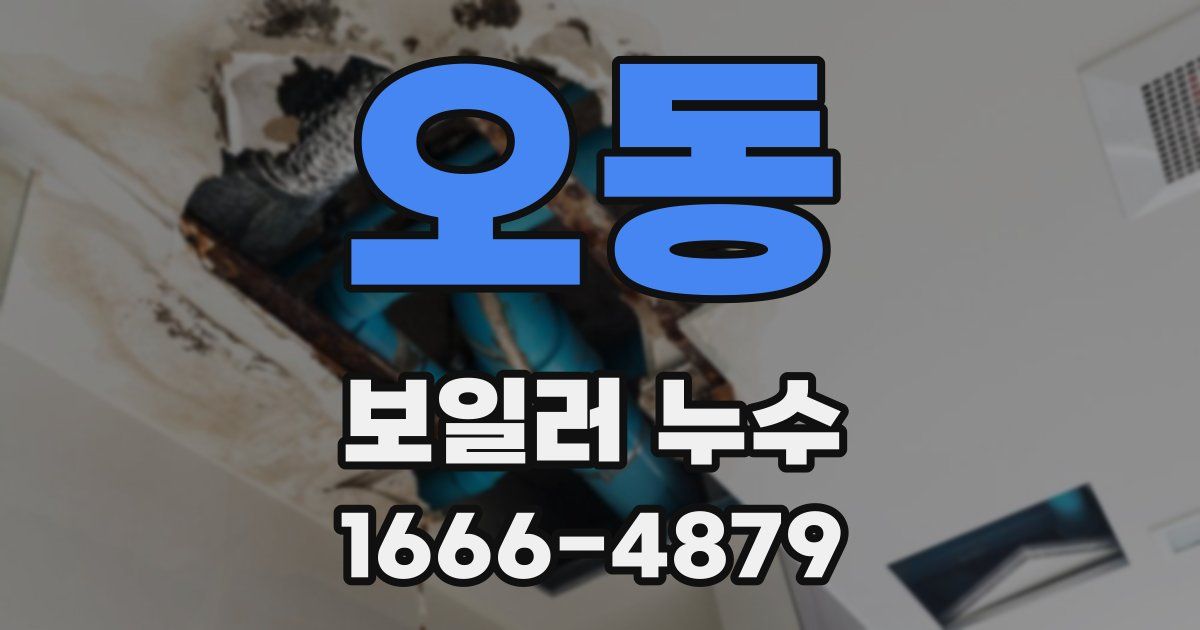 오동 보일러 누수