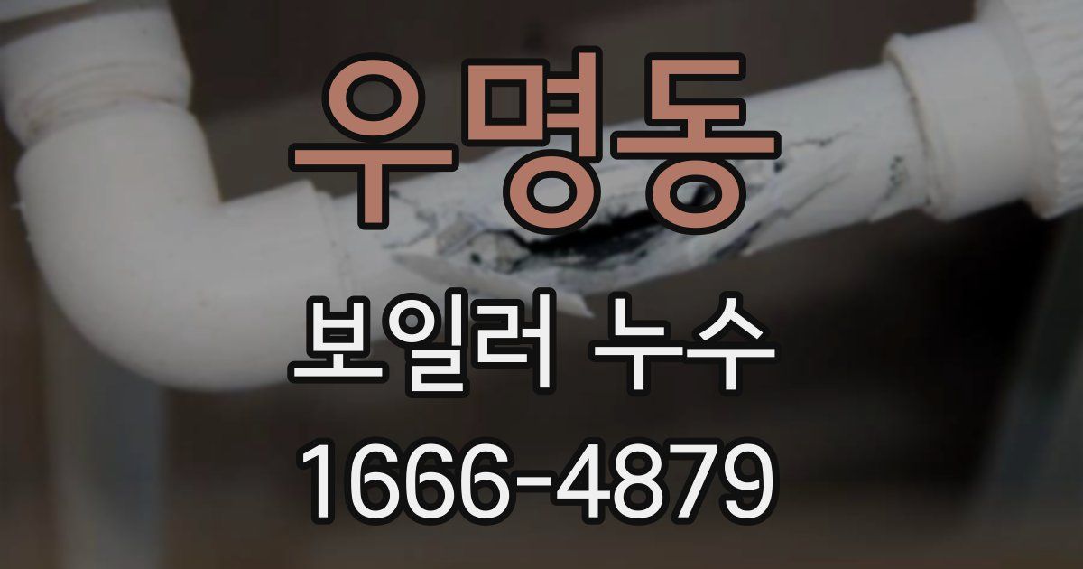 우명동 보일러 누수
