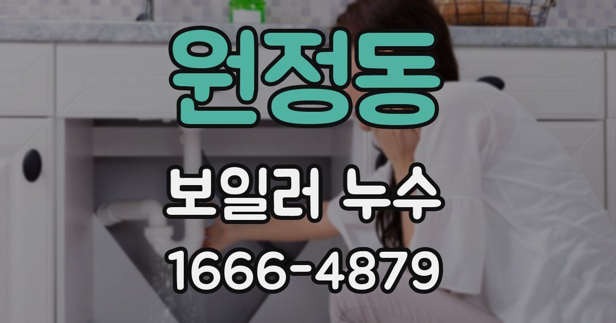 원정동 보일러 누수