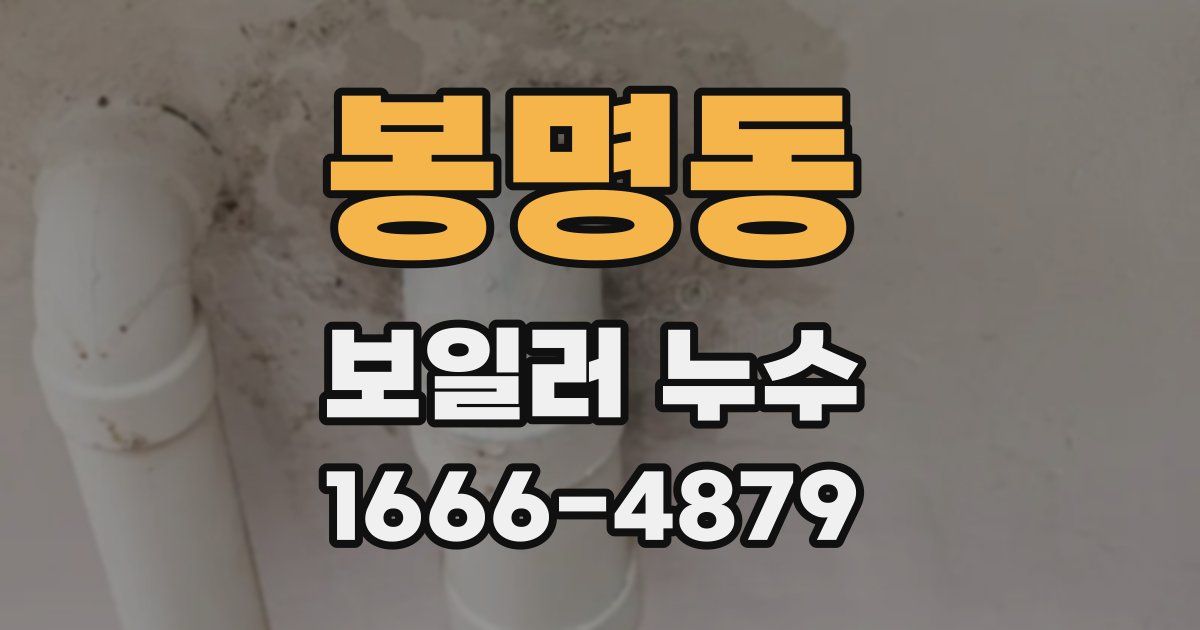 봉명동 보일러 누수