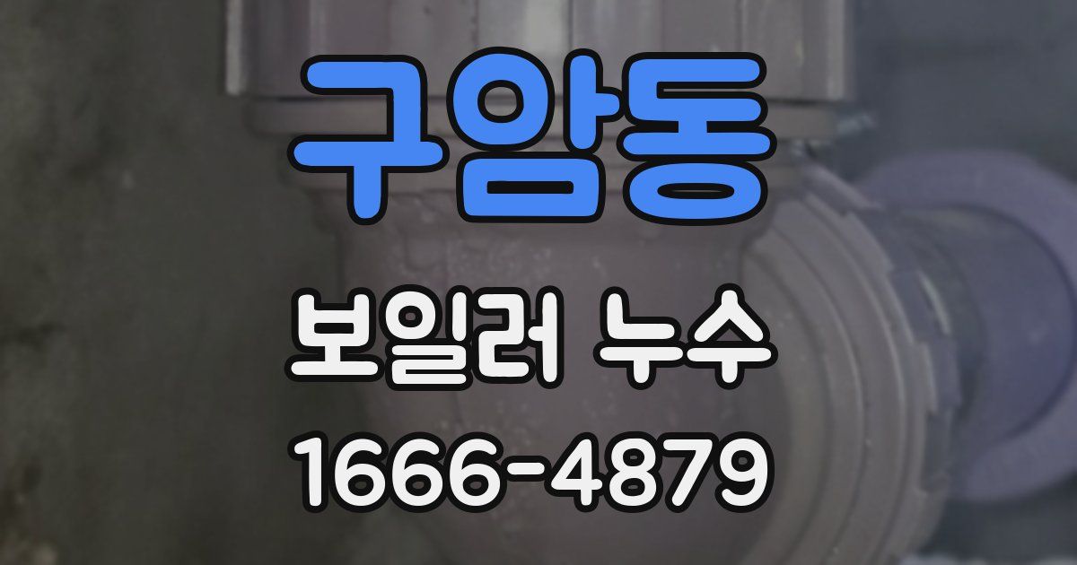 구암동 보일러 누수