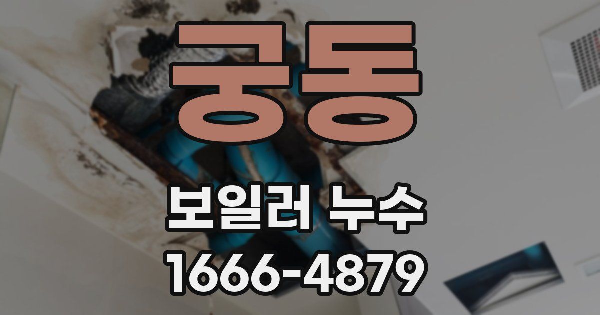 궁동 보일러 누수