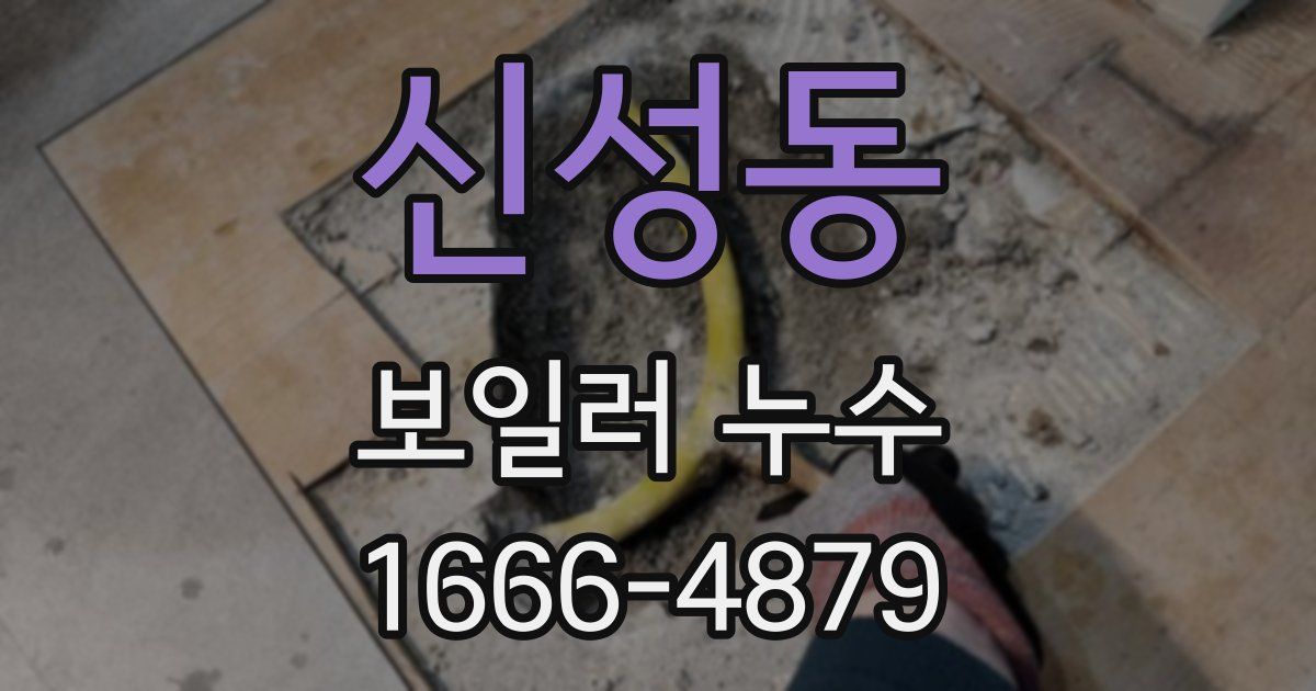 신성동 보일러 누수