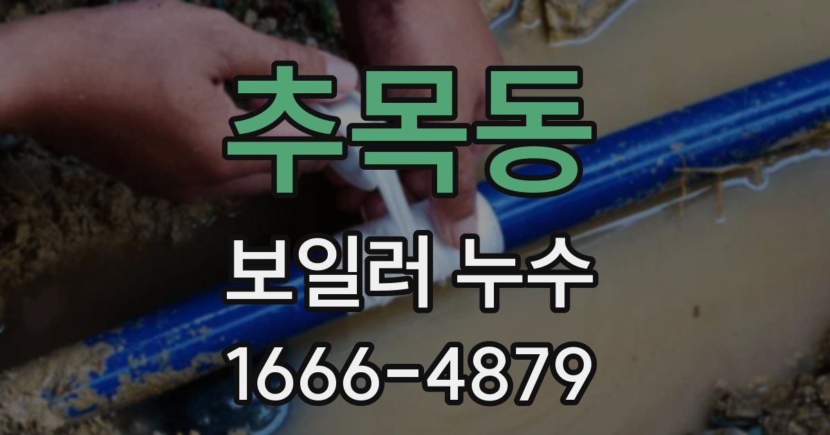 추목동 보일러 누수