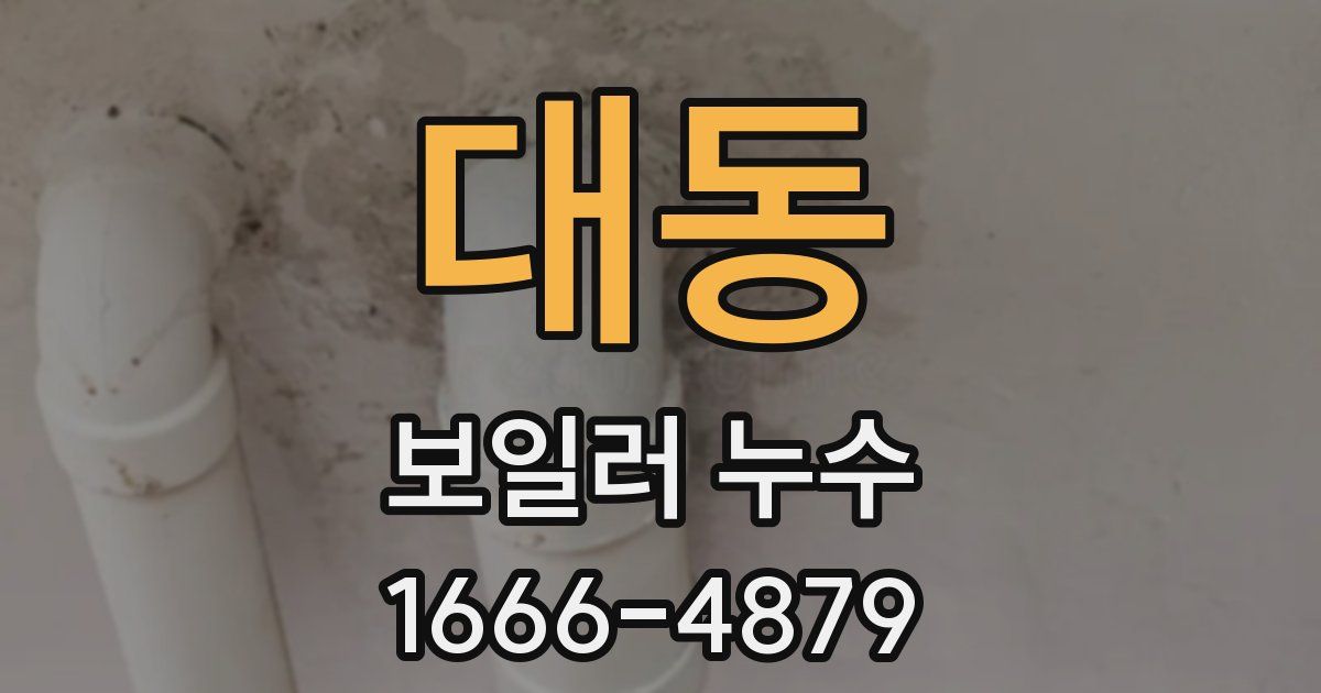 대동 보일러 누수