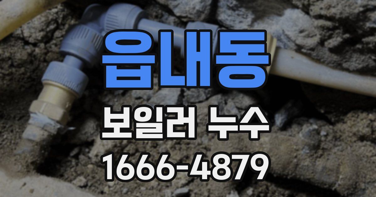 읍내동 보일러 누수