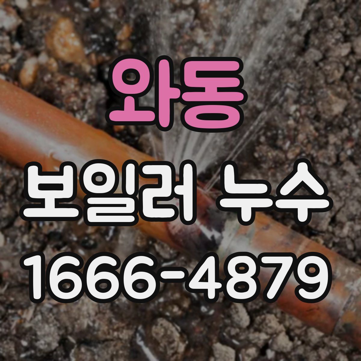 와동 보일러 누수