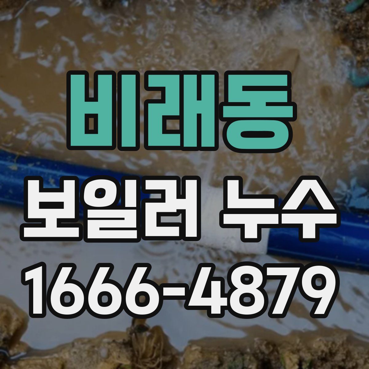 비래동 보일러 누수