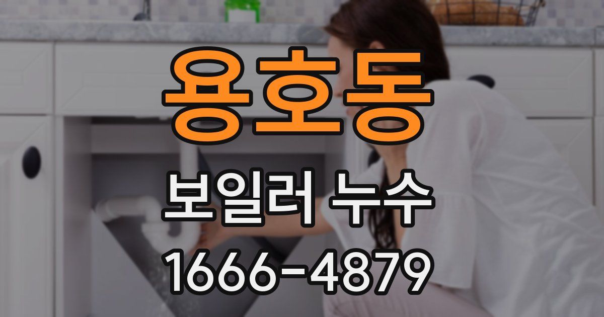 용호동 보일러 누수