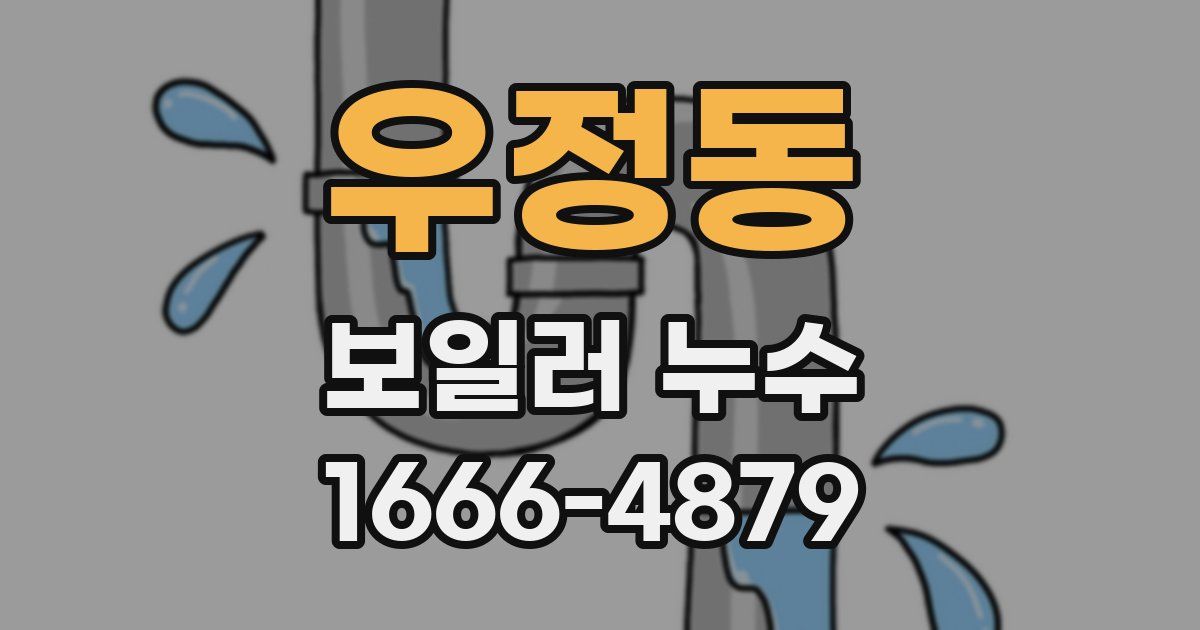 우정동 보일러 누수