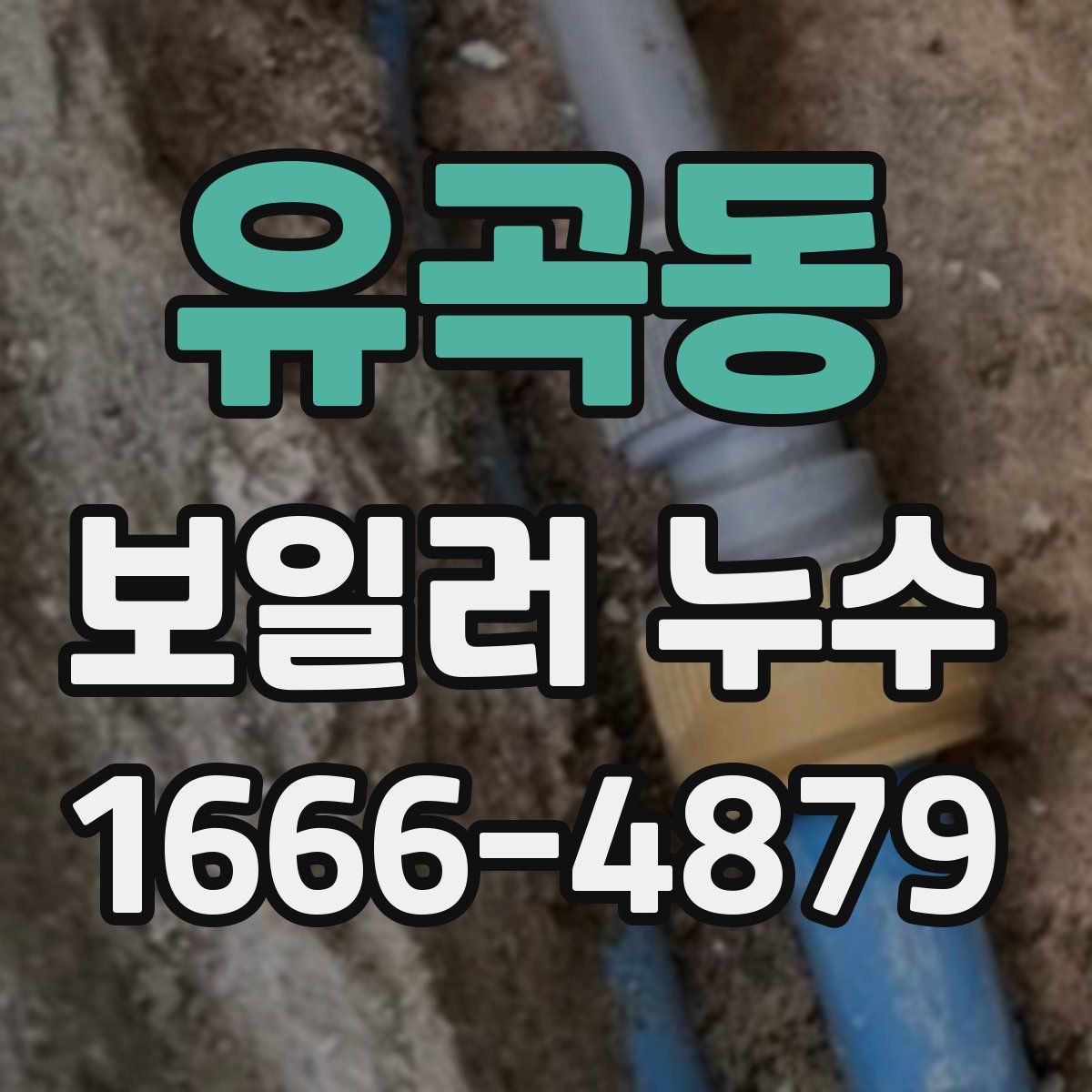 유곡동 보일러 누수