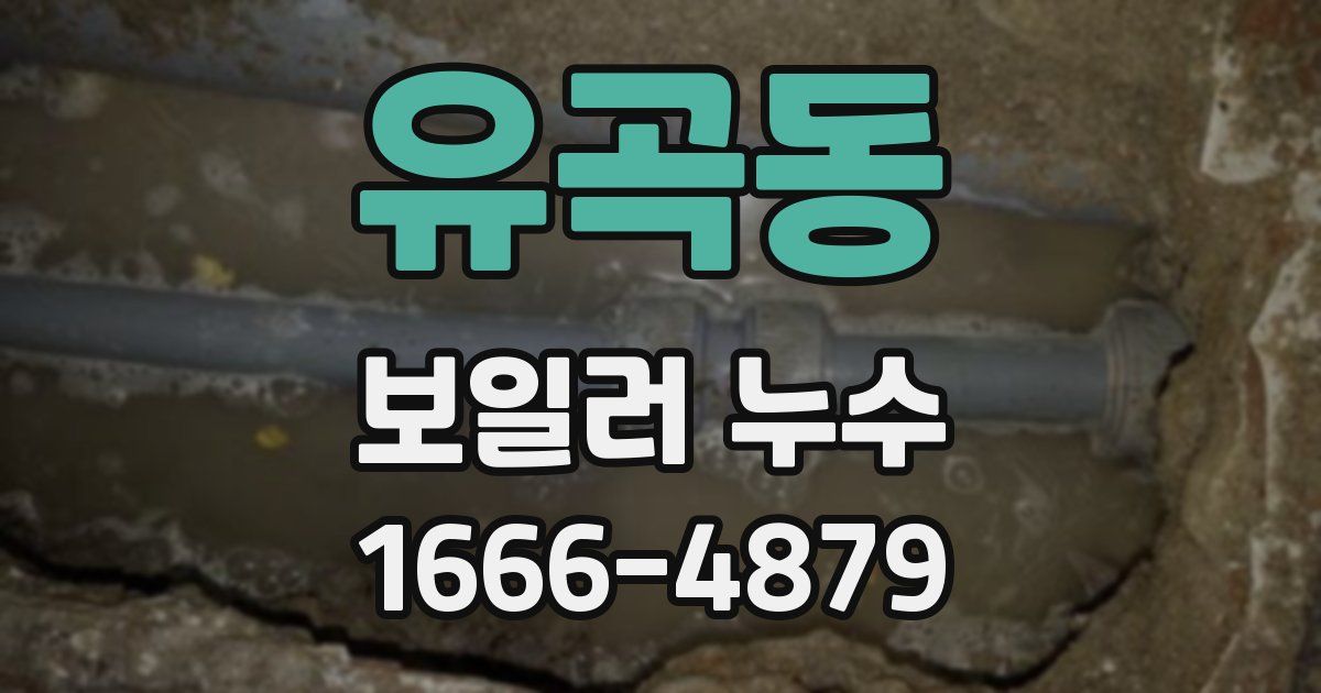 유곡동 보일러 누수
