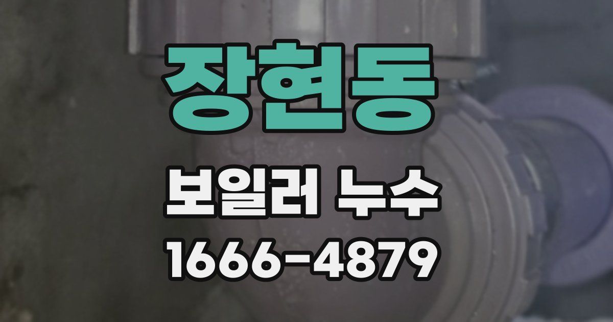 장현동 보일러 누수
